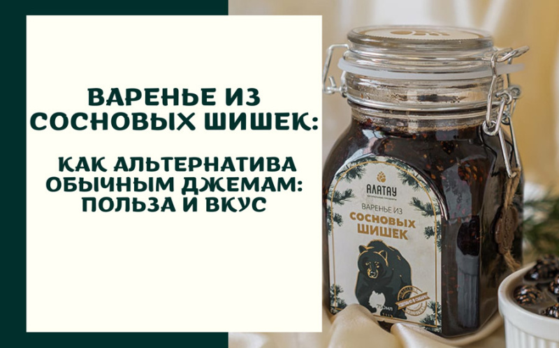 Варенье из сосновых шишек как альтернатива обычным джемам: польза и вкус