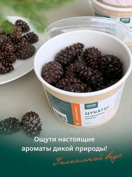 Цукаты из сосновых шишек с копченой паприкой, 150 гр