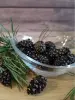 Цукаты из сосновых шишек 1 кг
