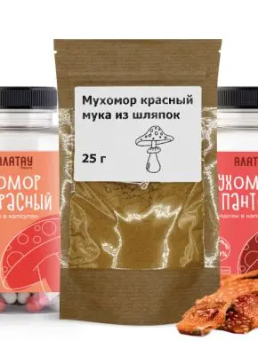 КОМБО «Грибная аптека»: микродозинг из мухомора пантерного, красного, сушеного красного и порошка из шляпок
