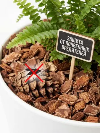 Мульча для сада из шишек целая 500 гр