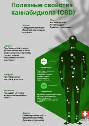 CBD масло 20%, КБД изолят, каннабидиол 6000 mg, конопляное HEMP SEED OIL, 30 ml