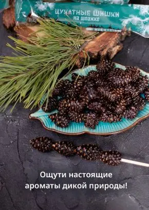 Цукаты из сосновых шишек на шпажке 25 г