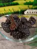 Цукаты из сосновых шишек 1 кг
