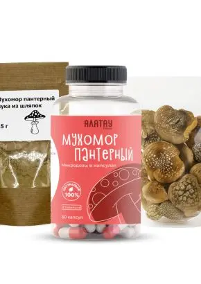 Комбо набор Пантерный 3в1: микродозинг из мухомора, мука из шляпок и сушеные шляпки