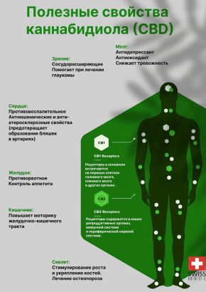 CBD масло 20%, КБД изолят, каннабидиол 6000 mg, конопляное HEMP SEED OIL, 30 ml