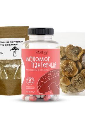 Комбо набор Пантерный 3в1: микродозинг из мухомора, мука из шляпок и сушеные шляпки