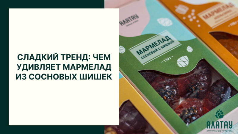 Сладкий тренд: чем удивляет мармелад из сосновых шишек Сладкий тренд: чем удивляет мармелад из сосновых шишек