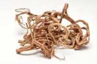 Красный корень (копеечник сушеный) Красный корень (копеечник сушеный)