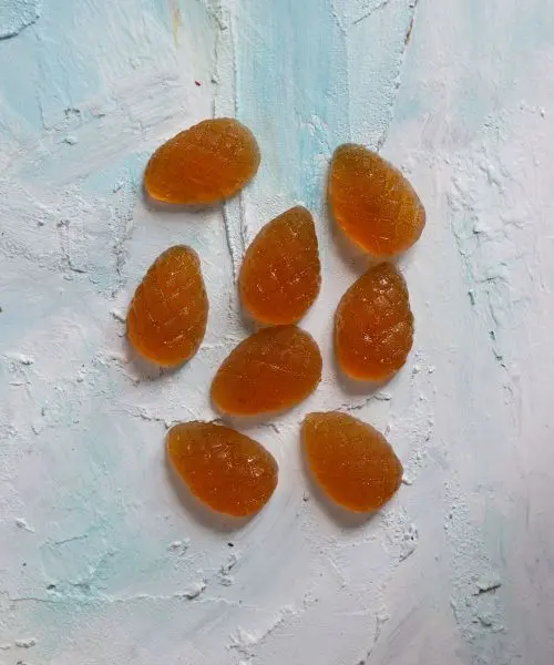 Мармелад ягодный Облепиховый, 110 гр (дисплей) Мармелад ягодный Облепиховый, 110 гр (дисплей)