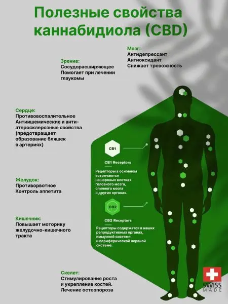 CBD масло 20%, КБД изолят, каннабидиол 6000 mg, конопляное HEMP SEED OIL, 30 ml CBD масло 20%, КБД изолят, каннабидиол 6000 mg, конопляное HEMP SEED OIL, 30 ml