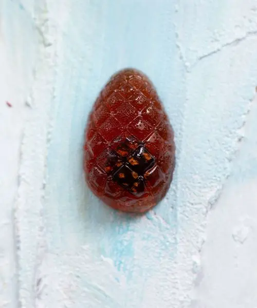 Мармелад "Сосновый" (с шишкой), 110г Мармелад "Сосновый" (с шишкой), 110г